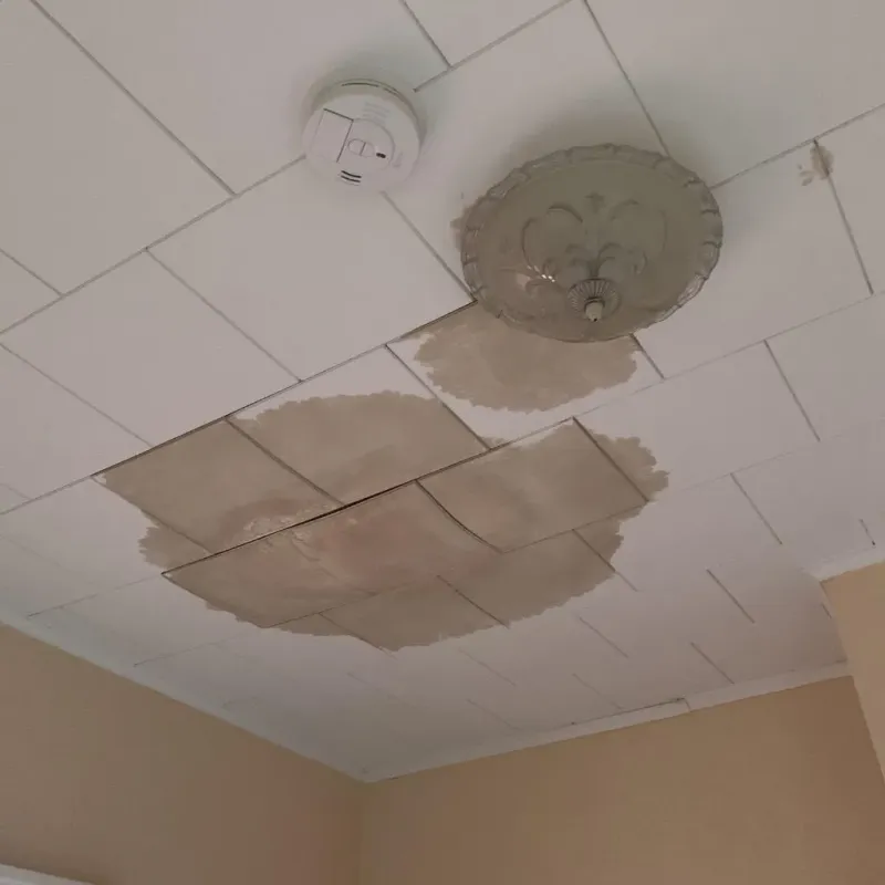 Ceiling Water Damage Repair in Barberton, OH