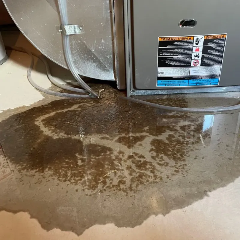 Pipe Burst and Leak Restoration in Barberton, OH