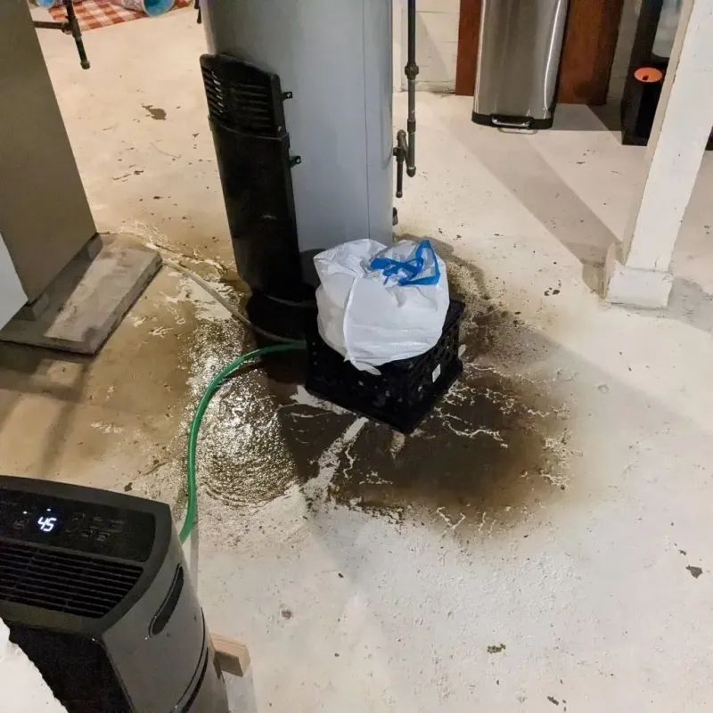 Sewage Backup Cleanup Service in Barberton, OH